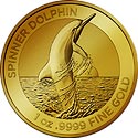 Dolphin RAM Motiv 2020