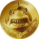 2026 The Shark