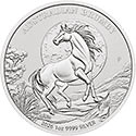 Australian Brumby Motiv 2026