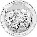Wombat Motiv 2022