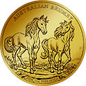 Brumby Motiv 2026