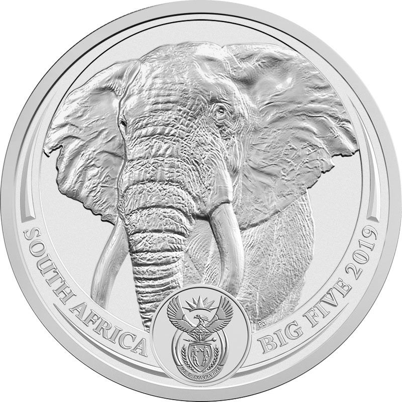 Big Five Elefant 2019