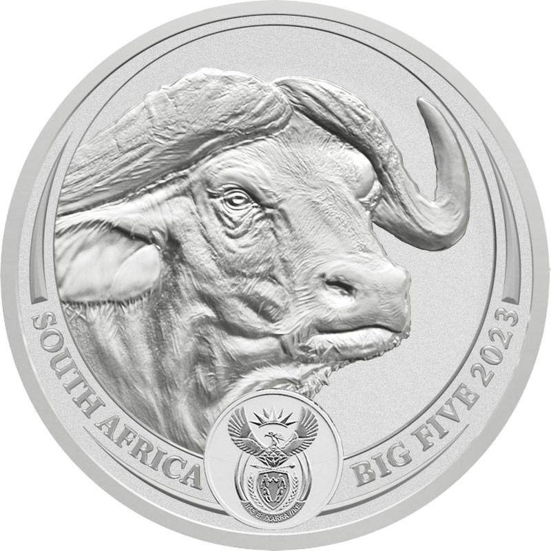 Big Five Büffel 2023