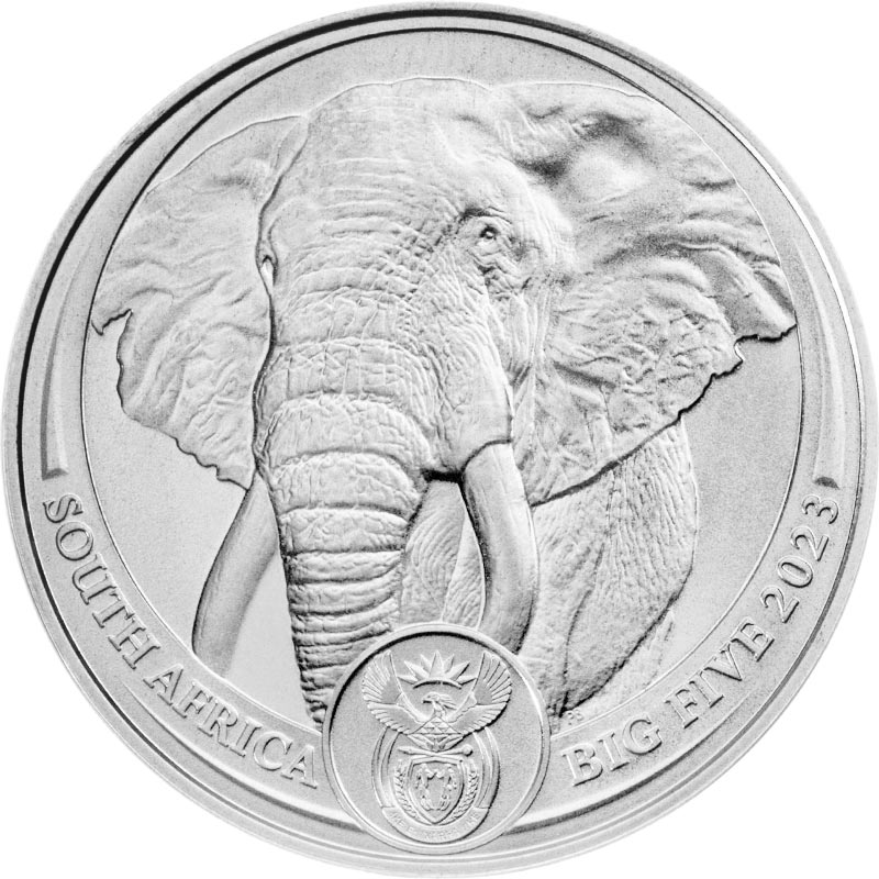 Big Five Elefant 2023