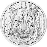 African Leopard Ghana Silbermünze