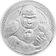 Congo Silverback Gorilla Silbermünze