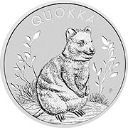 Quokka Silbermünze