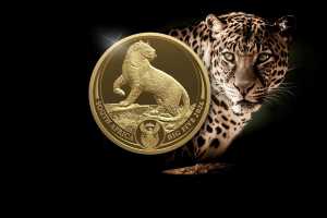 Big Five III Gold – Leopard 2026 Proof: Hier vergleichen!
