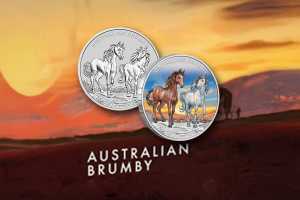 Australian Brumby Silber: Jetzt Motiv 2025 in BU und Colour!