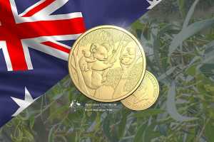 Koala Gold 2026 der RAM - Jetzt vergleichen!