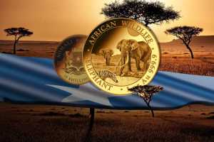 Somalia Elefant Gold: Jetzt den Jahrgang 2026 im Vorverkauf!