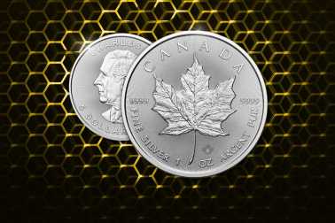 Jetzt neu die Maple Leaf Silber 2026 im Preisvergleich!