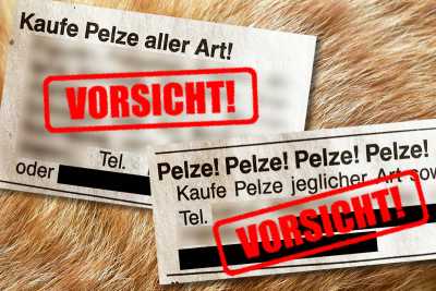 Goldankauf-Abzocke: Der Trick mit dem Pelzankauf