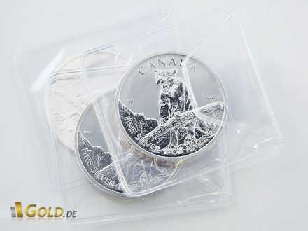 Puma-Silbermünzen in Plastik-Münztaschen