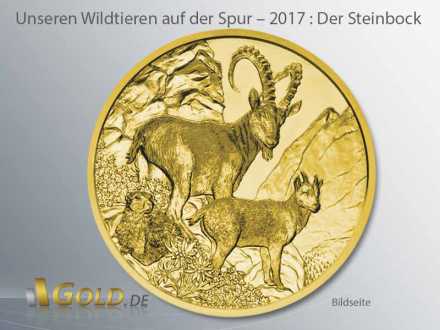 Wildtiere Österreich in Gold 2017: Der Steinbock (Motivseite)