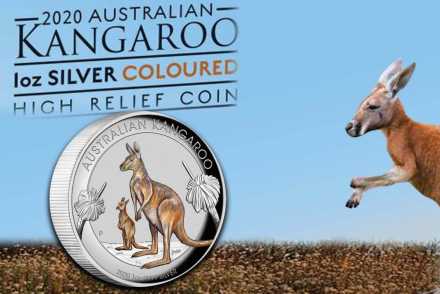 Känguru 2020 Silber koloriert High Relief