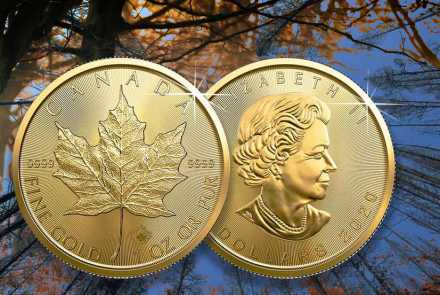 Maple Leaf Gold 2020 - Jetzt erhältlich!