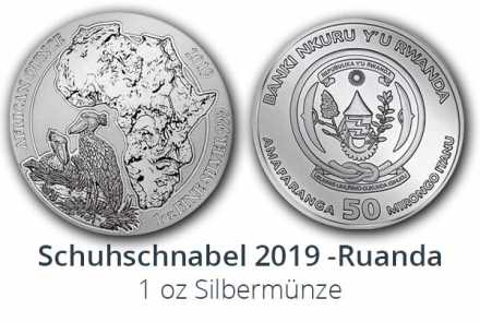 Schuhschnabel 2019  African Ounce Ruanda