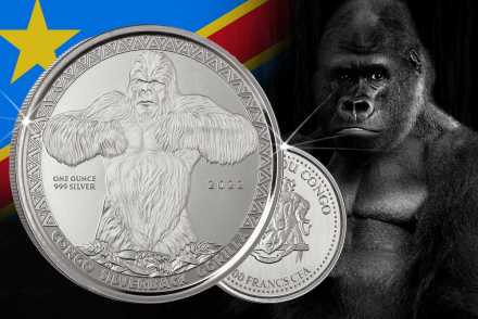 Silverback Gorilla 2022 - Congo African Wildlife - Jetzt hier erhältlich!