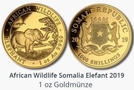 African Wildlife 2019 Somalia Elephant Gold