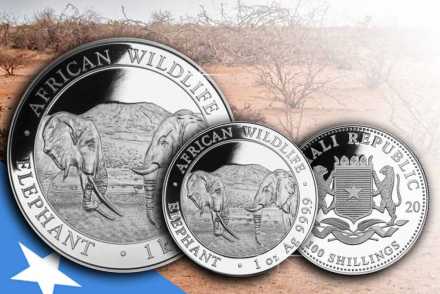 Hier erhältlich! Somalia Elefant Silber 2020