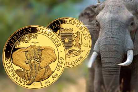 Somalia Elefant 2021 Goldmünze 1 oz: Jetzt vergleichen!