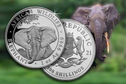Somalia Elefant 2021 jetzt als 5 oz & 10 oz Silbermünze