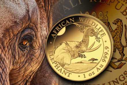 Somalia Elefant Gold: Jetzt neuen Jahrgang 2023 vergleichen!
