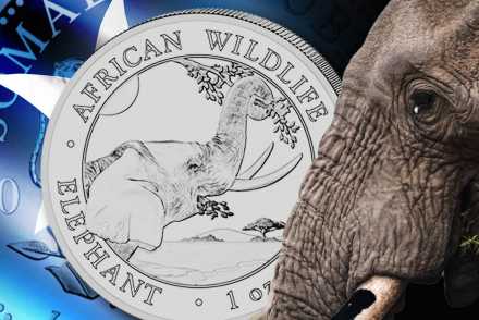 Somalia Elefant Silber: Neues Motiv 2023 jetzt ansehen!