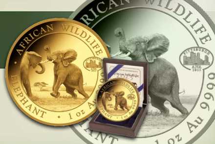 Somalia Elefant Gold 2023 mit ANA-Privy: Sehr geringe Auflage!