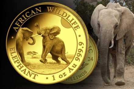 Somalia Elefant Gold 2024: Jetzt anlegen und sammeln!