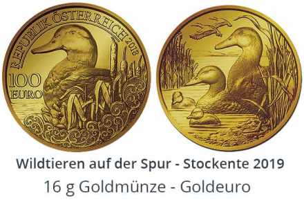 Die Stockente 2019