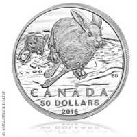 50 Canada Dollar - Hase Tauschaktion 1/2oz 