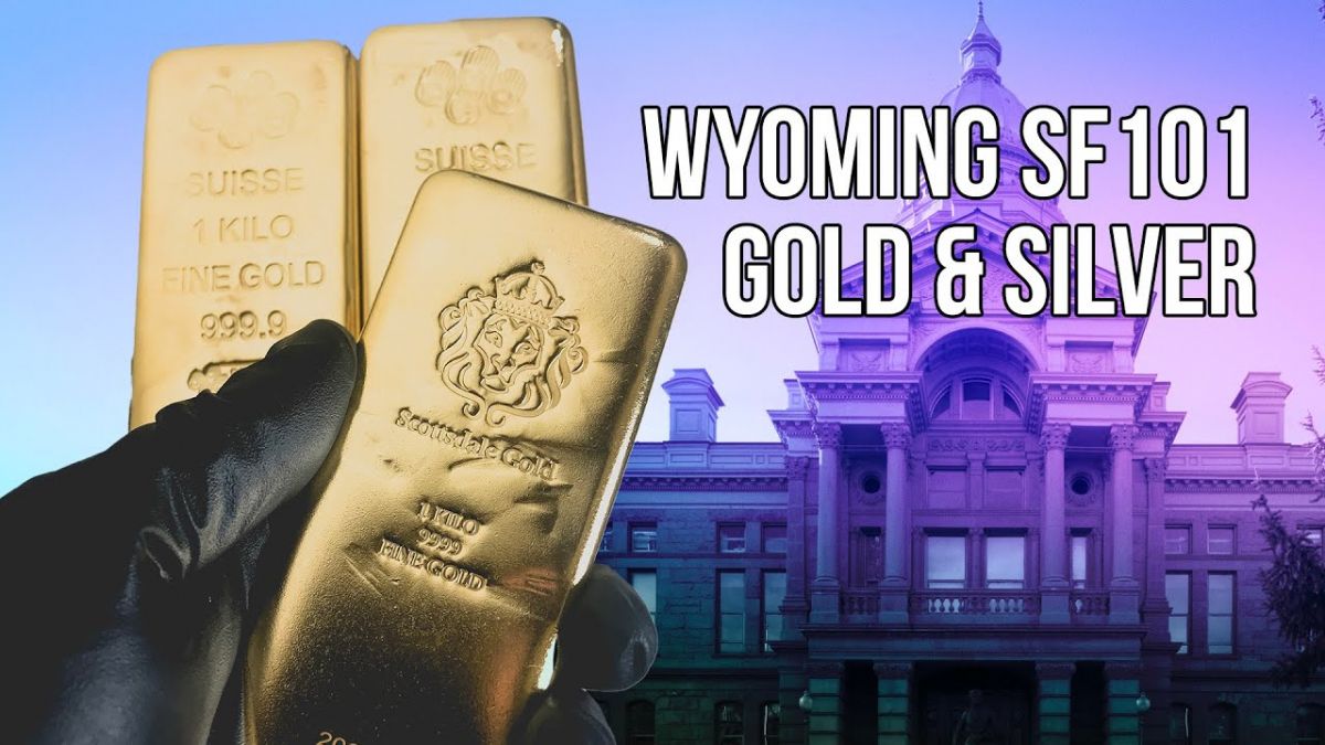 Full Wyoming House Hearing on Gold And Silver Bill SF 101